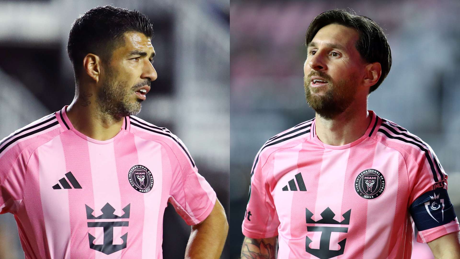 赛的前景将 赛的前景将